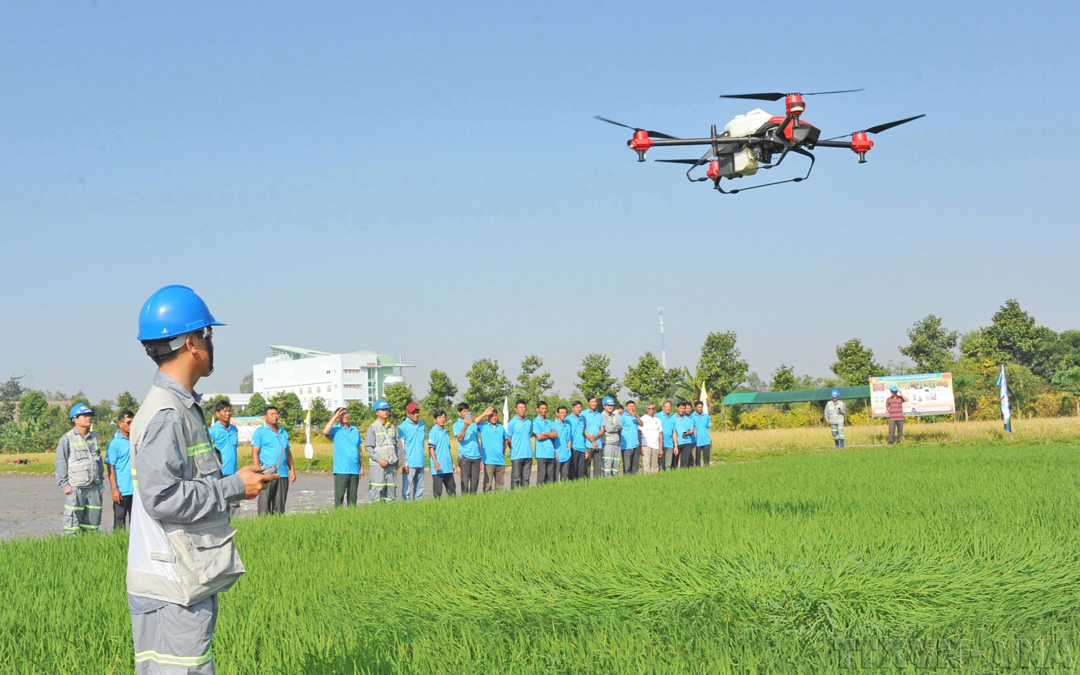 Nông dân tỉnh An Giang trình diễn mô hình Drone (máy bay không người lái) bón phân, phun thuốc trừ sâu cho cây lúa trên cánh đồng ở huyện Thoại Sơn . (Ảnh: Công Mạo/TTXVN)